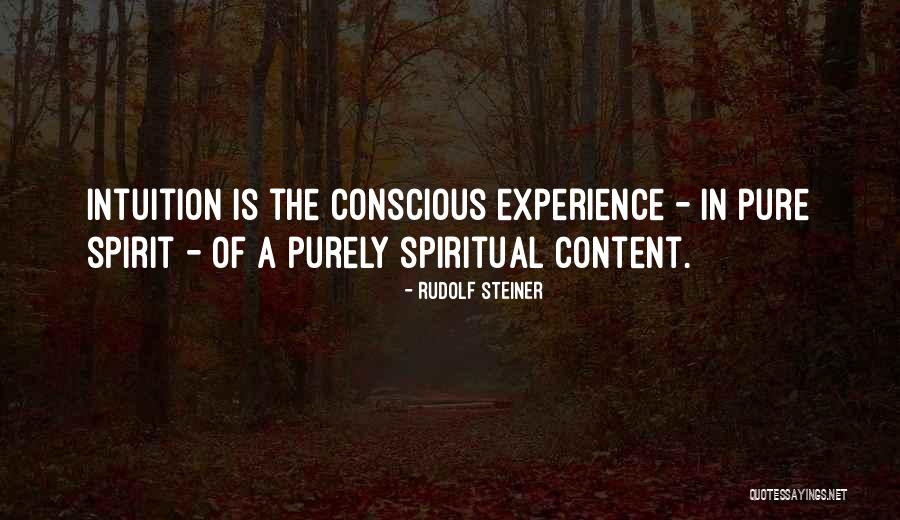 Thimon Quotes By Rudolf Steiner Thimon Quotes By Rudolf Steiner