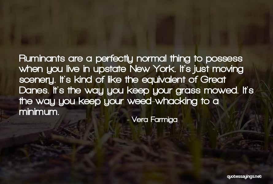 Thing From The Goonies Quotes By Vera Farmiga Thing From The Goonies Quotes By Vera Farmiga