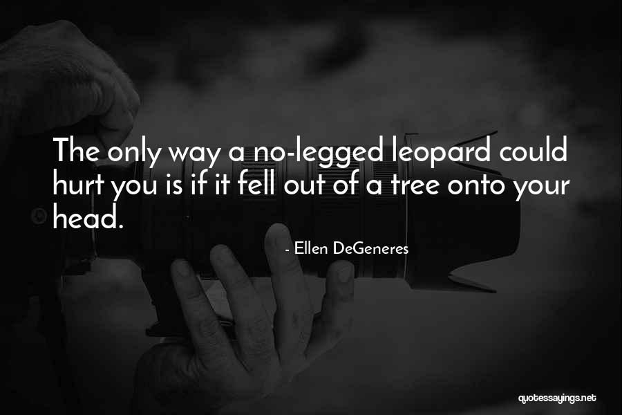 Thing Is Ellen Degeneres Quotes By Ellen DeGeneres Thing Is Ellen Degeneres Quotes By Ellen DeGeneres