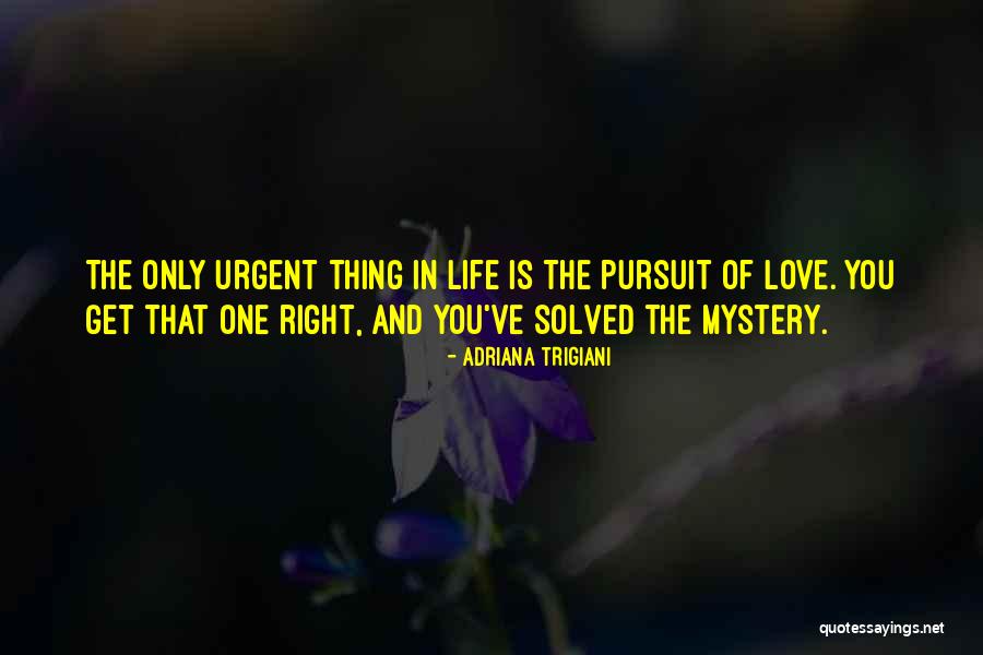 Thing Love Quotes By Adriana Trigiani Thing Love Quotes By Adriana Trigiani