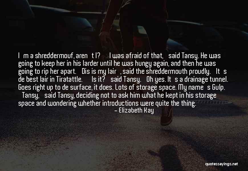 Thing Not To Ask Quotes By Elizabeth Kay Thing Not To Ask Quotes By Elizabeth Kay