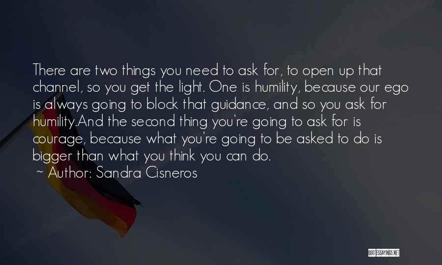 Thing One And Thing Two Quotes By Sandra Cisneros