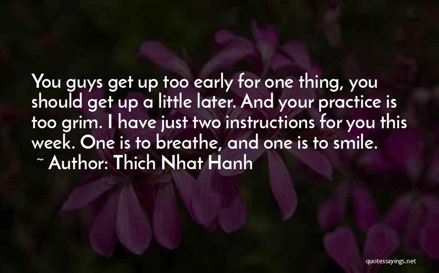 Thing One And Thing Two Quotes By Thich Nhat Hanh