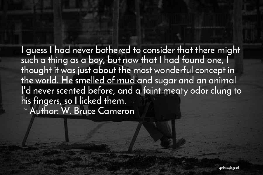Thing Quotes By W. Bruce Cameron