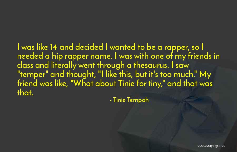 Thing Thesaurus Quotes By Tinie Tempah Thing Thesaurus Quotes By Tinie Tempah