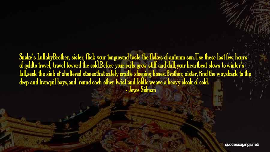Thing Which We Use While Sleeping Quotes By Joyce Sidman Thing Which We Use While Sleeping Quotes By Joyce Sidman