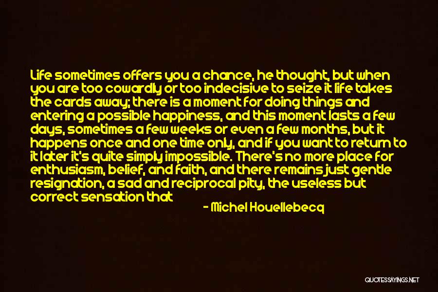 Things And More Gift Quotes By Michel Houellebecq Things And More Gift Quotes By Michel Houellebecq
