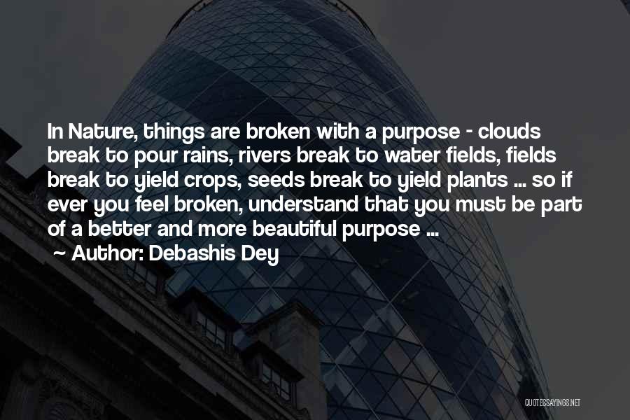 Things Are Broken Quotes By Debashis Dey