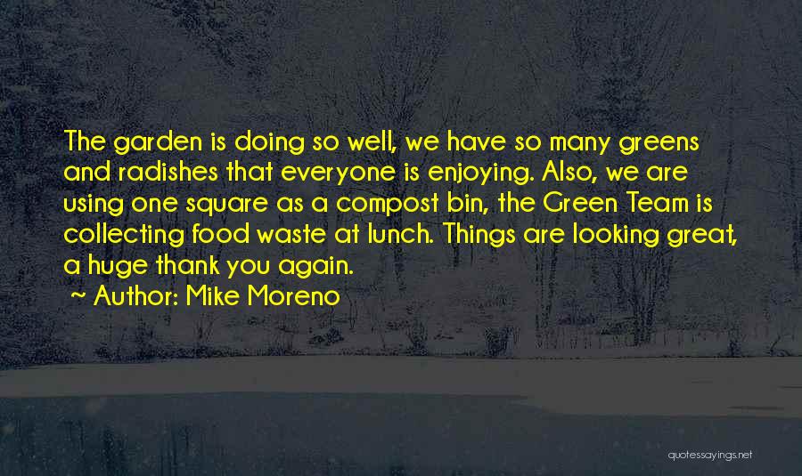 Things Are Looking Great Quotes By Mike Moreno