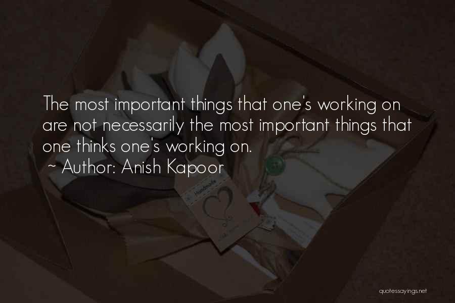 Things Are Not Important Quotes By Anish Kapoor