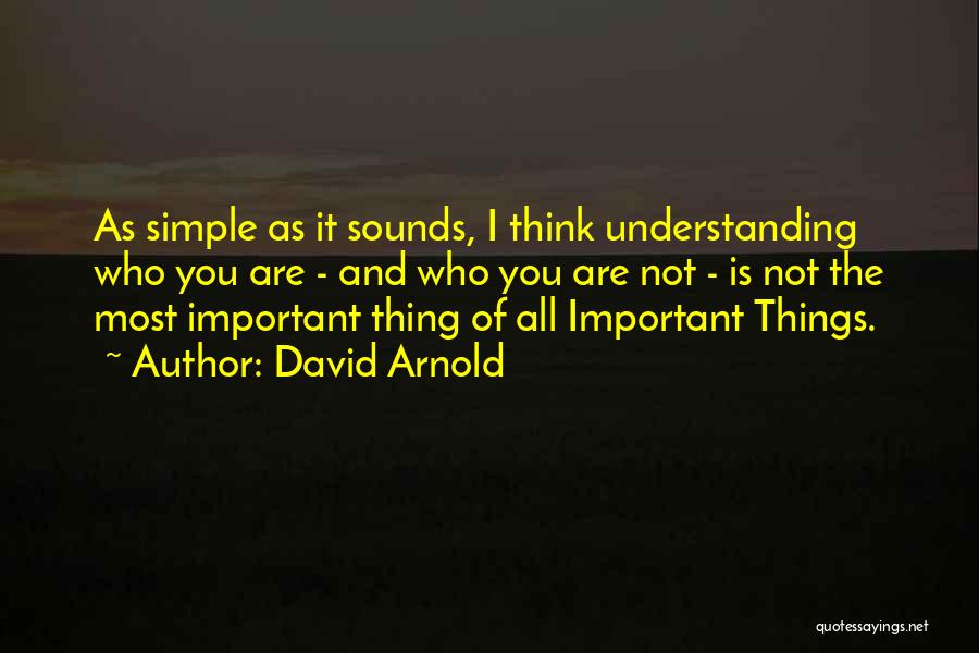 Things Are Not Important Quotes By David Arnold