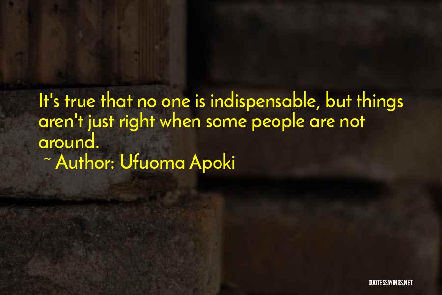 Things Are Not Important Quotes By Ufuoma Apoki