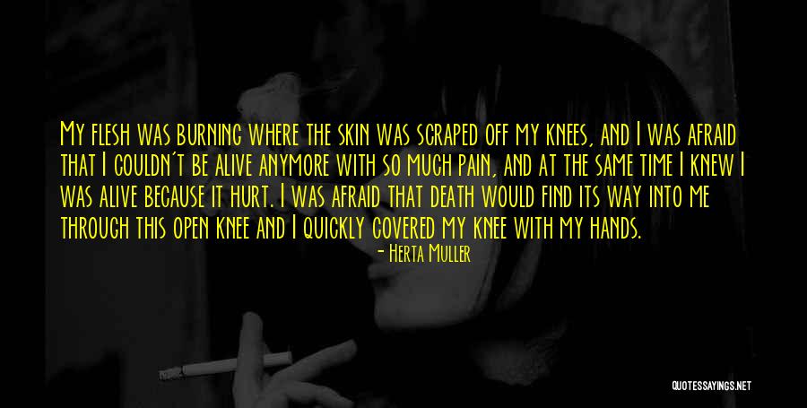 Things Are Not The Same Anymore Quotes By Herta Muller