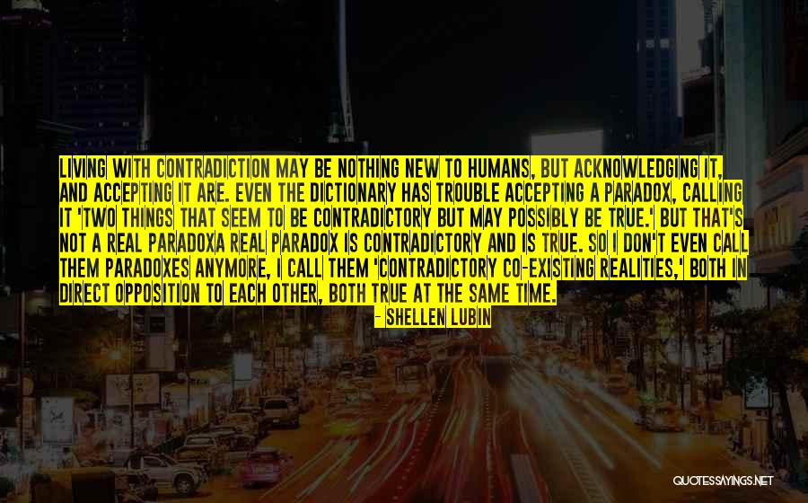 Things Are Not The Same Anymore Quotes By Shellen Lubin