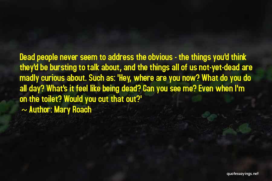 Things Are Not What They Seem Quotes By Mary Roach