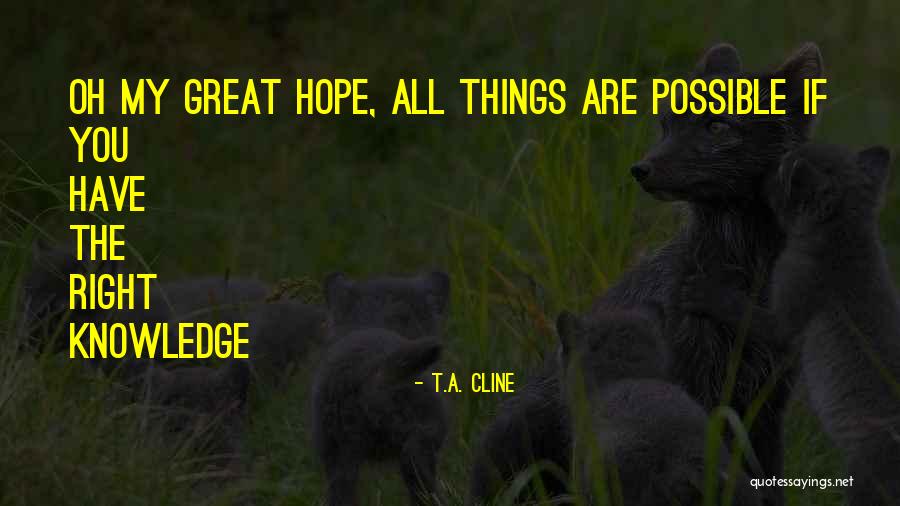 Things Are Possible Quotes By T.A. Cline Things Are Possible Quotes By T.A. Cline
