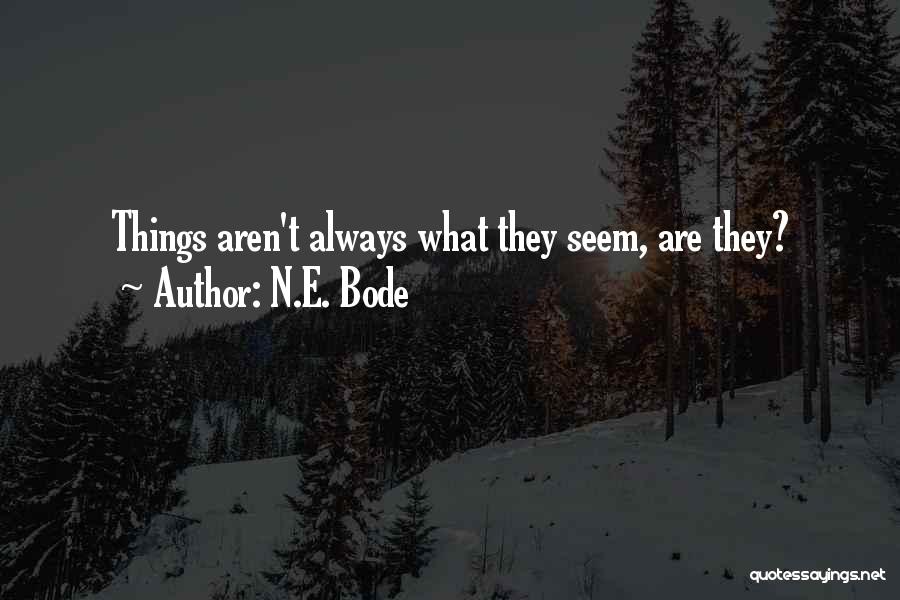 Things Aren't Always What They Seem Quotes By N.E. Bode