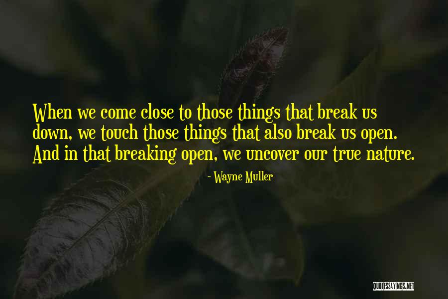 Things Break Down Quotes By Wayne Muller