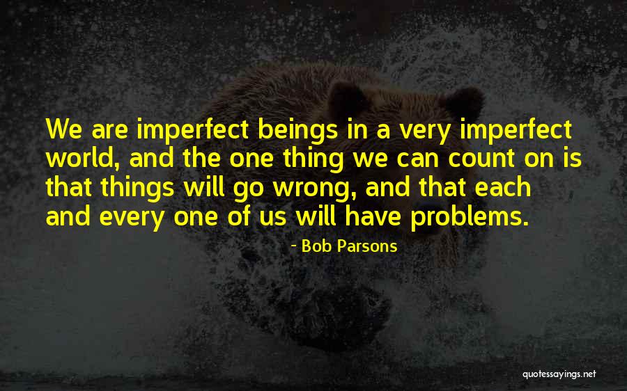 Things Can Go Wrong Quotes By Bob Parsons