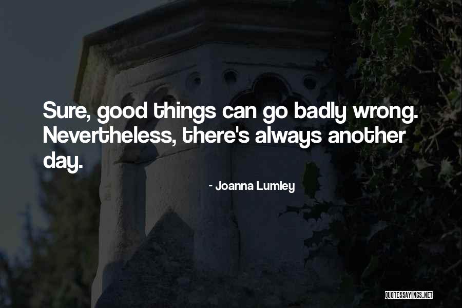 Things Can Go Wrong Quotes By Joanna Lumley