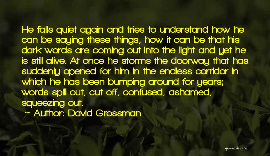 Things Coming To Light Quotes By David Grossman