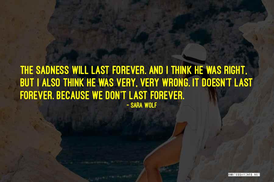 Things Don't Last Forever Quotes By Sara Wolf