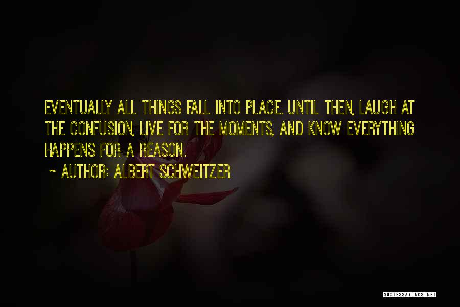 Things Fall Into Place Quotes By Albert Schweitzer