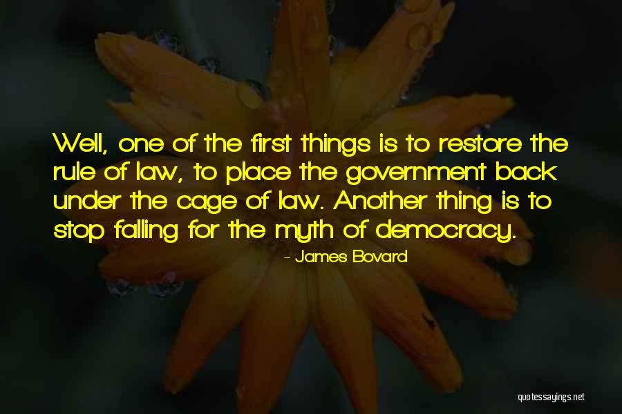 Things Falling Into Place Quotes By James Bovard