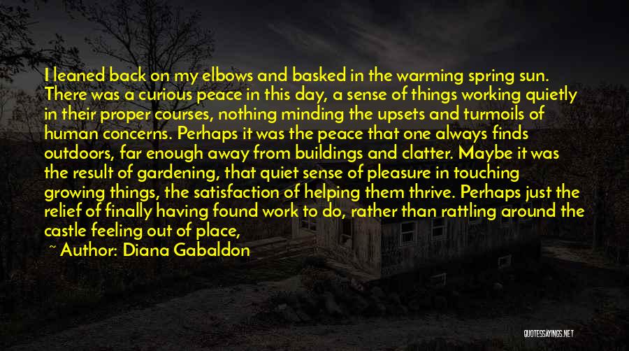 Things Finally Working Out Quotes By Diana Gabaldon