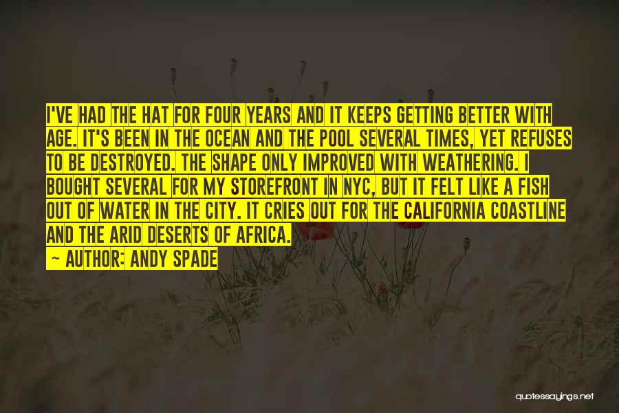 Things Getting Better With Age Quotes By Andy Spade