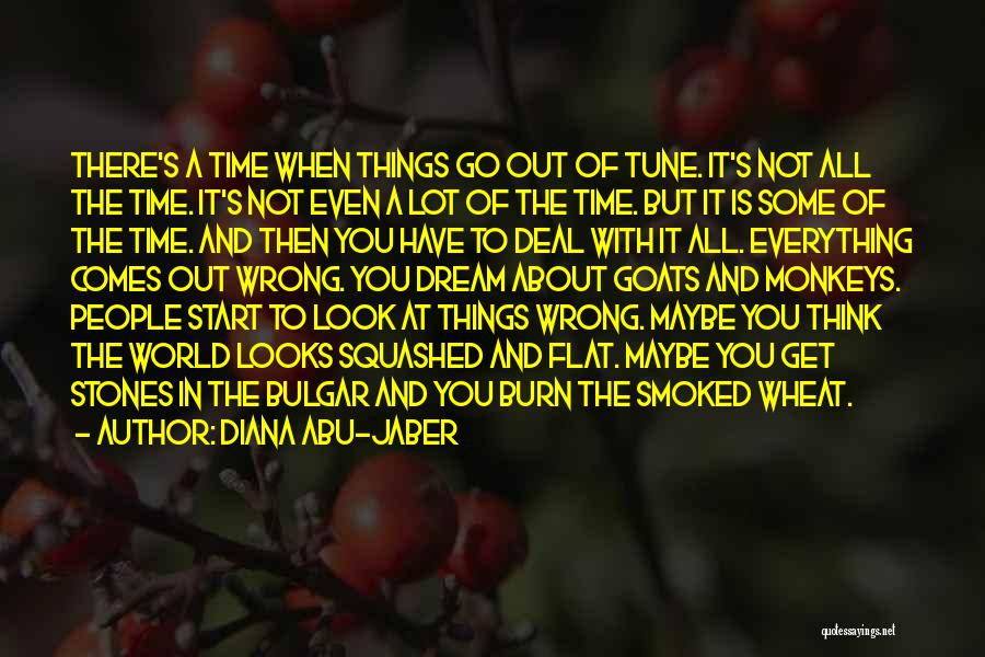 Things Go Wrong Quotes By Diana Abu-Jaber