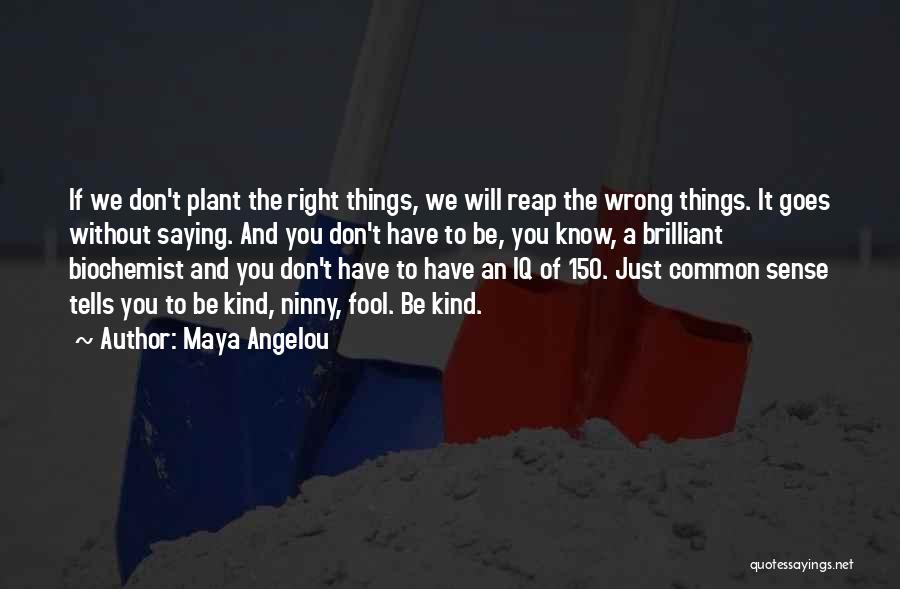 Things Goes Wrong Quotes By Maya Angelou