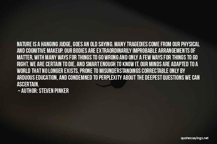 Things Goes Wrong Quotes By Steven Pinker