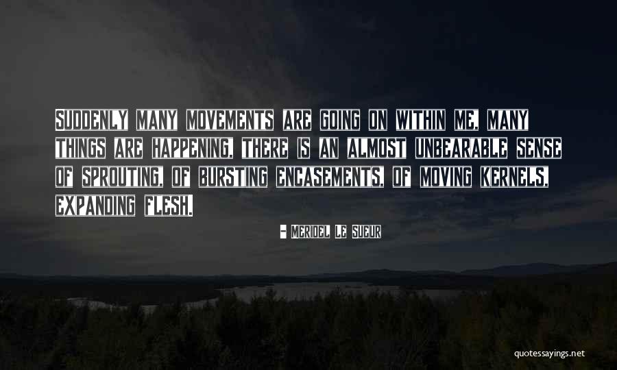 Things Happening Suddenly Quotes By Meridel Le Sueur Things Happening Suddenly Quotes By Meridel Le Sueur