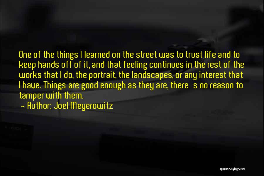 Things I Have Learned In Life Quotes By Joel Meyerowitz
