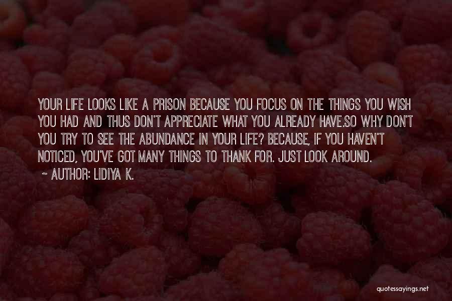 Things In Your Life Quotes By Lidiya K.