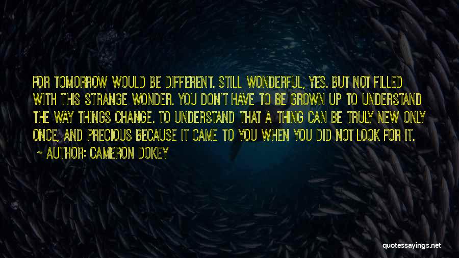 Things Look Different Quotes By Cameron Dokey