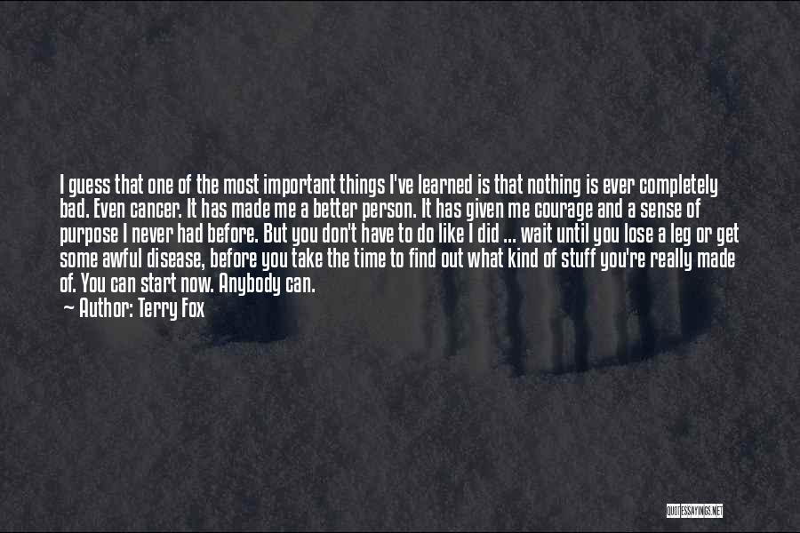 Things Never Get Better Quotes By Terry Fox