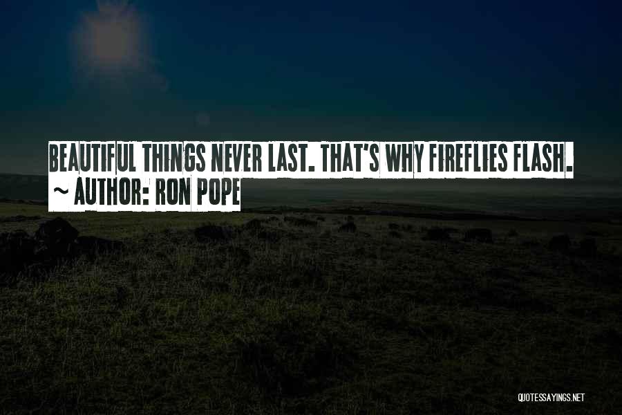 Things Never Last Quotes By Ron Pope