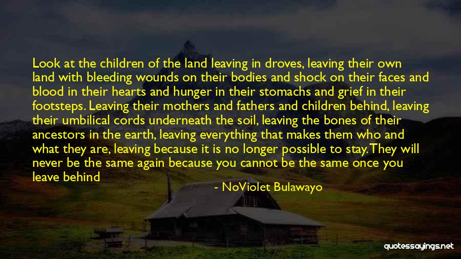 Things Never Stay The Same Quotes By NoViolet Bulawayo Things Never Stay The Same Quotes By NoViolet Bulawayo