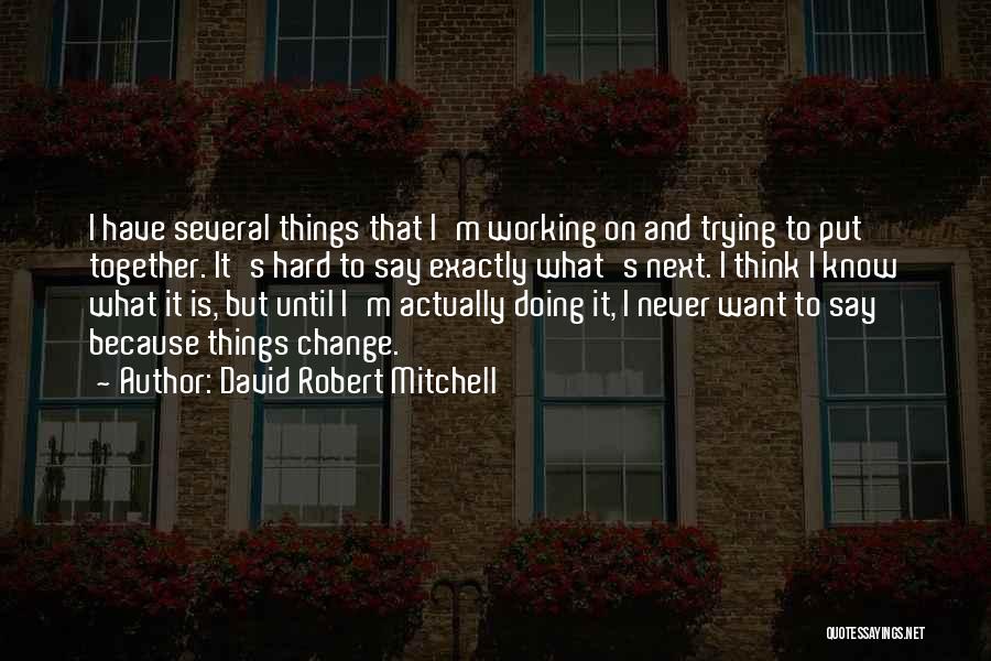 Things Never Working Out Quotes By David Robert Mitchell