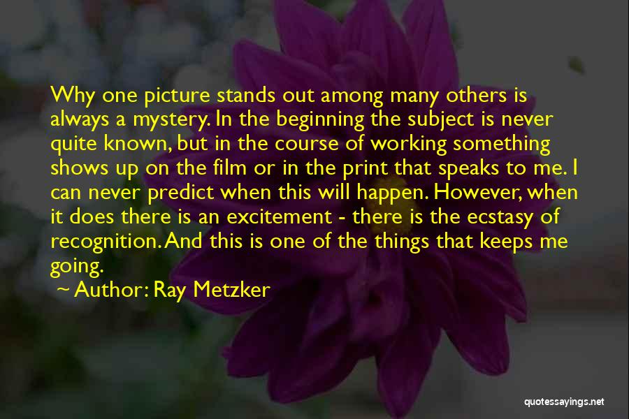 Things Never Working Out Quotes By Ray Metzker