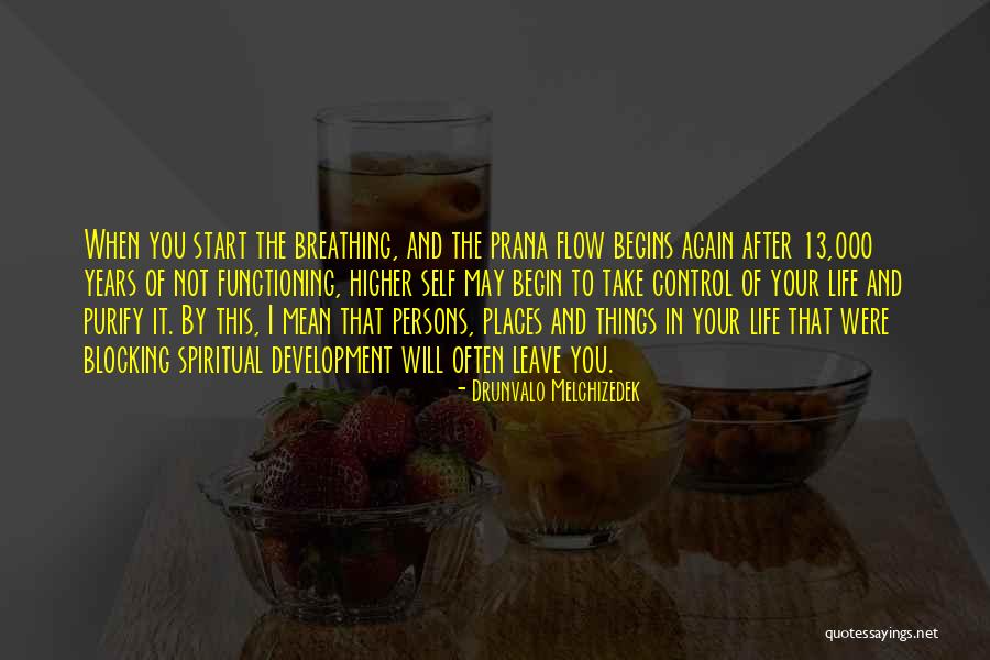 Things Not In Your Control Quotes By Drunvalo Melchizedek Things Not In Your Control Quotes By Drunvalo Melchizedek