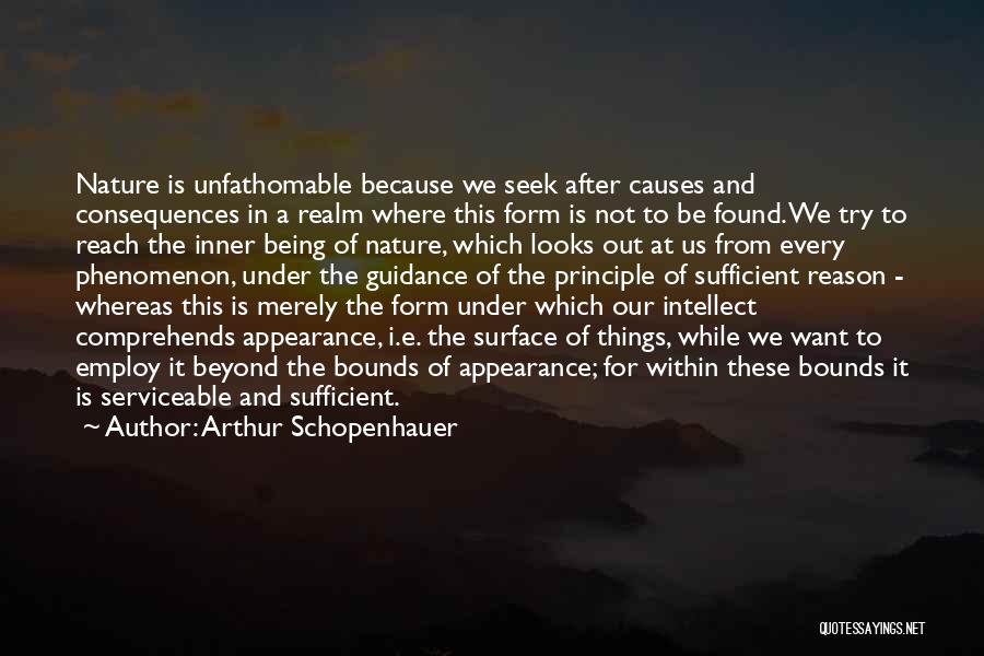 Things Out Of Reach Quotes By Arthur Schopenhauer