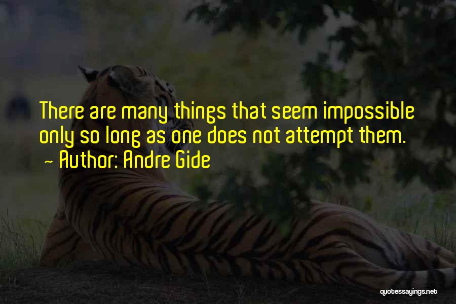 Things Seem Impossible Quotes By Andre Gide