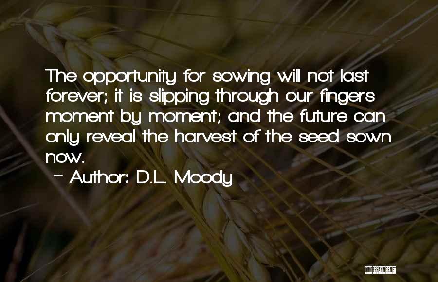 Things Slipping Through Your Fingers Quotes By D.L. Moody