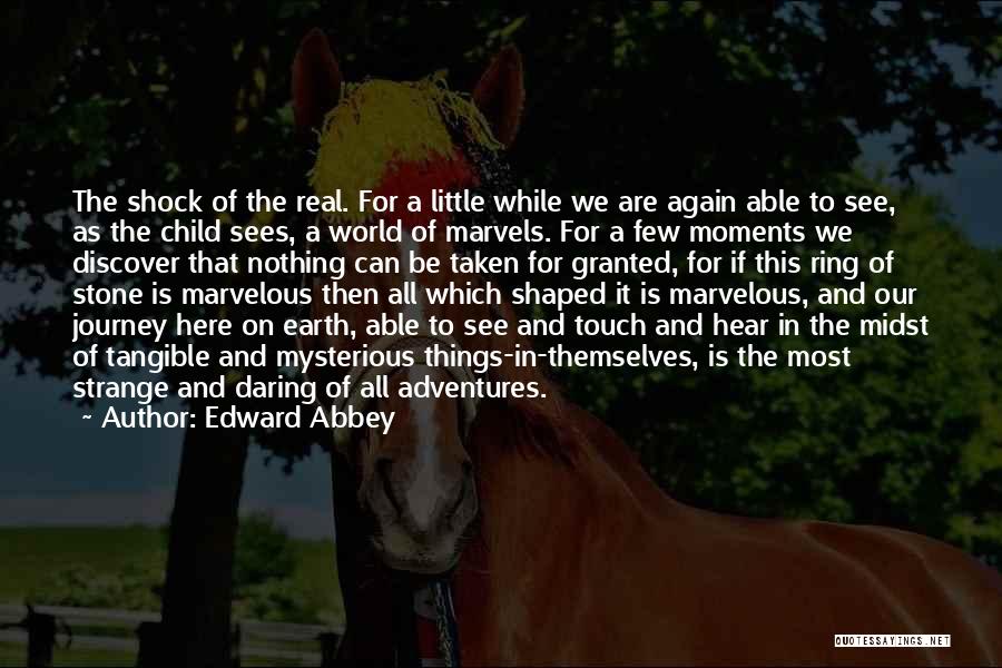 Things Taken For Granted Quotes By Edward Abbey