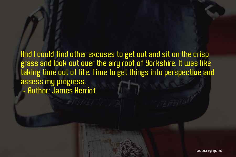 Things Taking Time Quotes By James Herriot