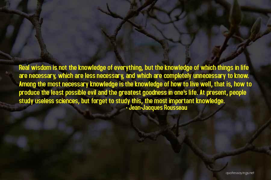 Things That Are Important In Life Quotes By Jean-Jacques Rousseau