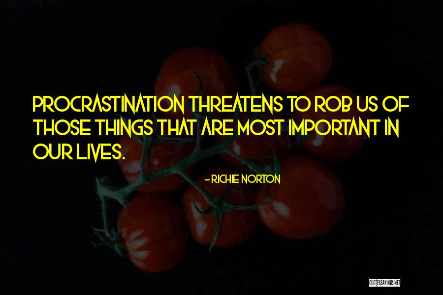 Things That Are Important In Life Quotes By Richie Norton